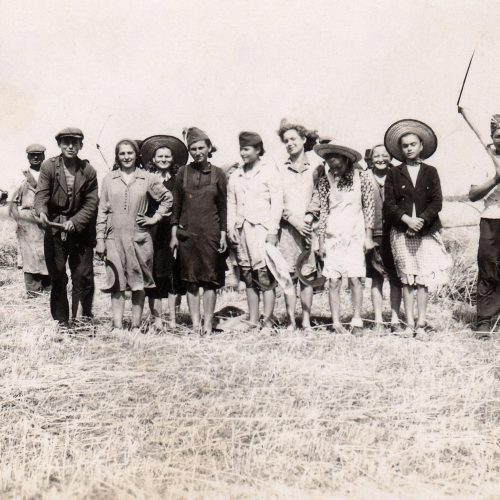 Aratás (81. major)