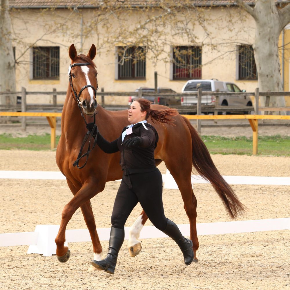 Zajlik a felvezetés