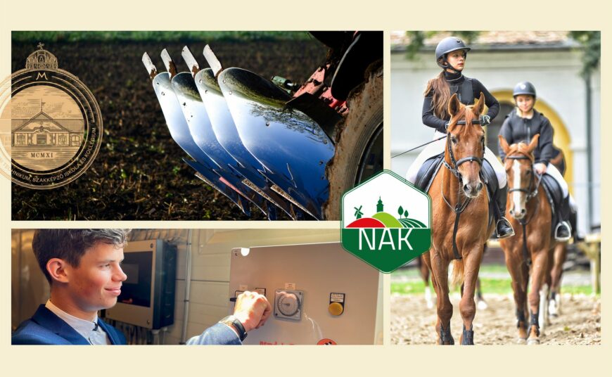 NAK Pályaorientációs Nap 2023_header_alt_4