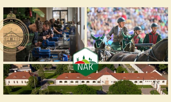NAK-Palyaorientacios-Nap-2024-1
