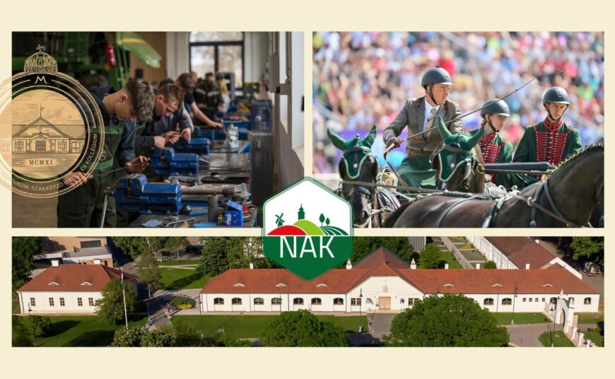 NAK-Palyaorientacios-Nap-2024-1