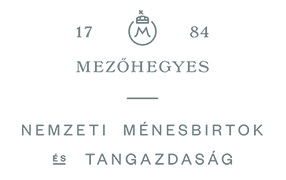 _menesbirtok-logo-grey